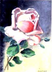 une rose